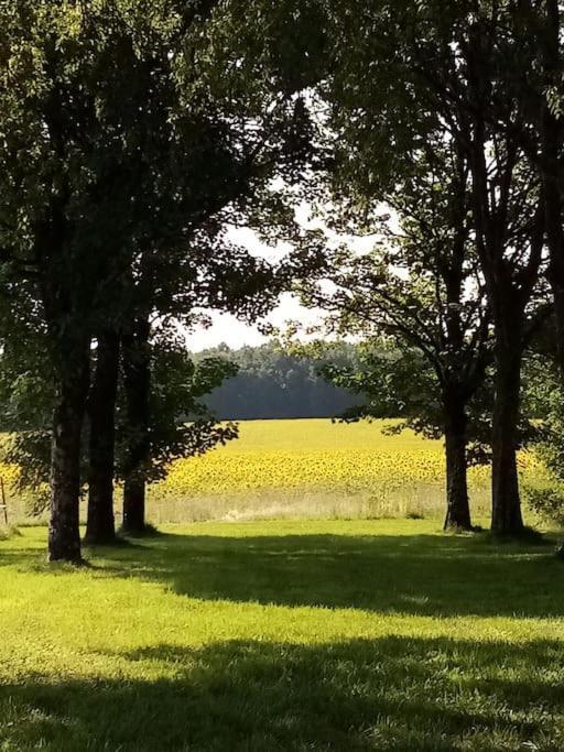 As Seen On A New Life In The Sun - Beautiful 3 Bedroom Cottage With Shared Pool Montboyer Eksteriør bilde